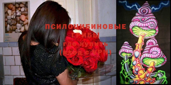 mdpv Абдулино